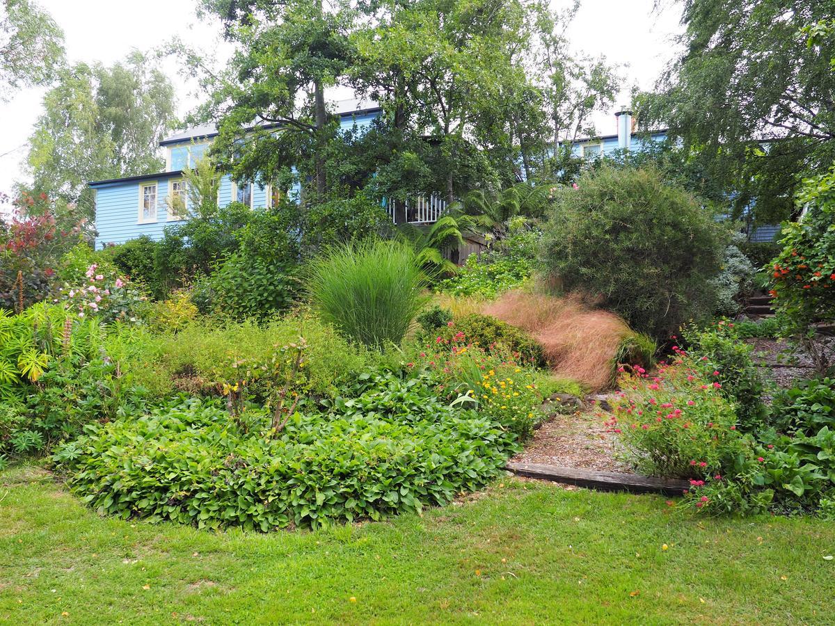 Mole Creek Guesthouse Exterior photo