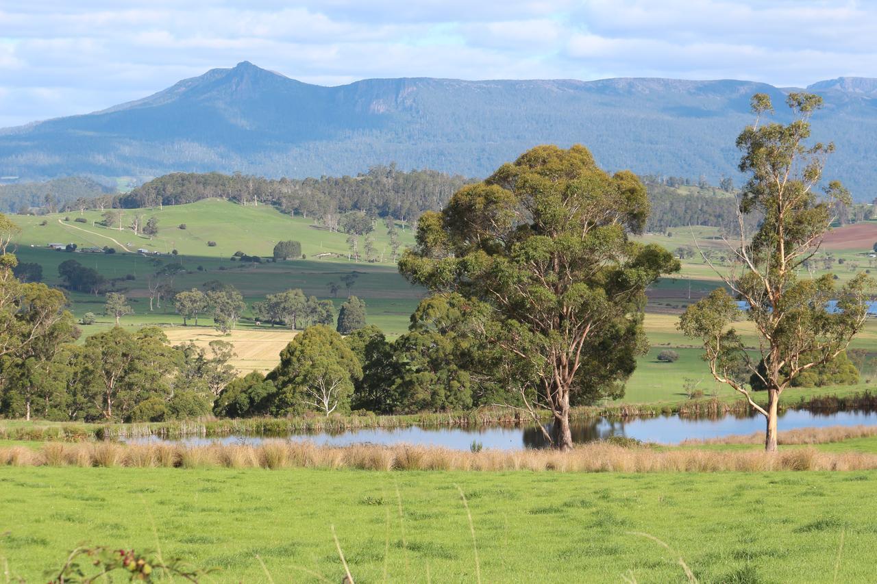 Mole Creek Guesthouse Exterior photo