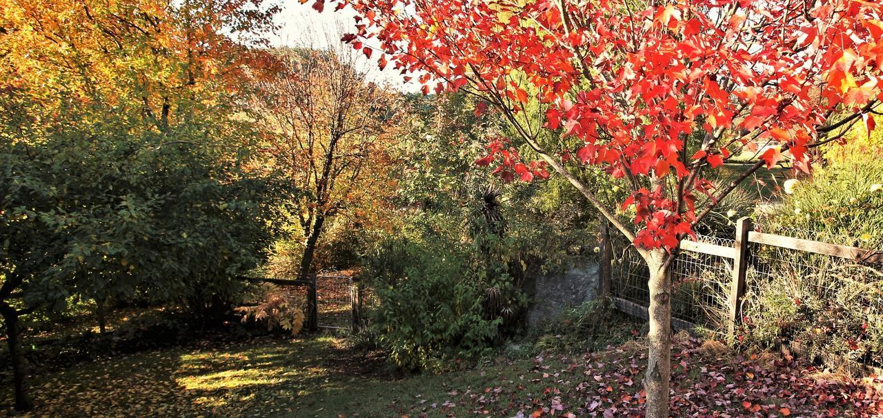 Mole Creek Guesthouse Exterior photo